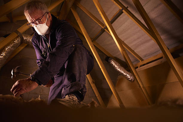 Best Insulation Materials and Products in Hammonton, NJ